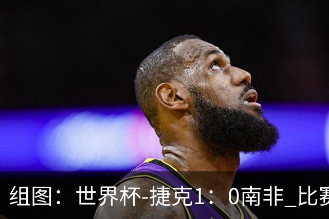 组图：世界杯-捷克1：0南非 比赛第6分钟萨迪莱克闪袭破门